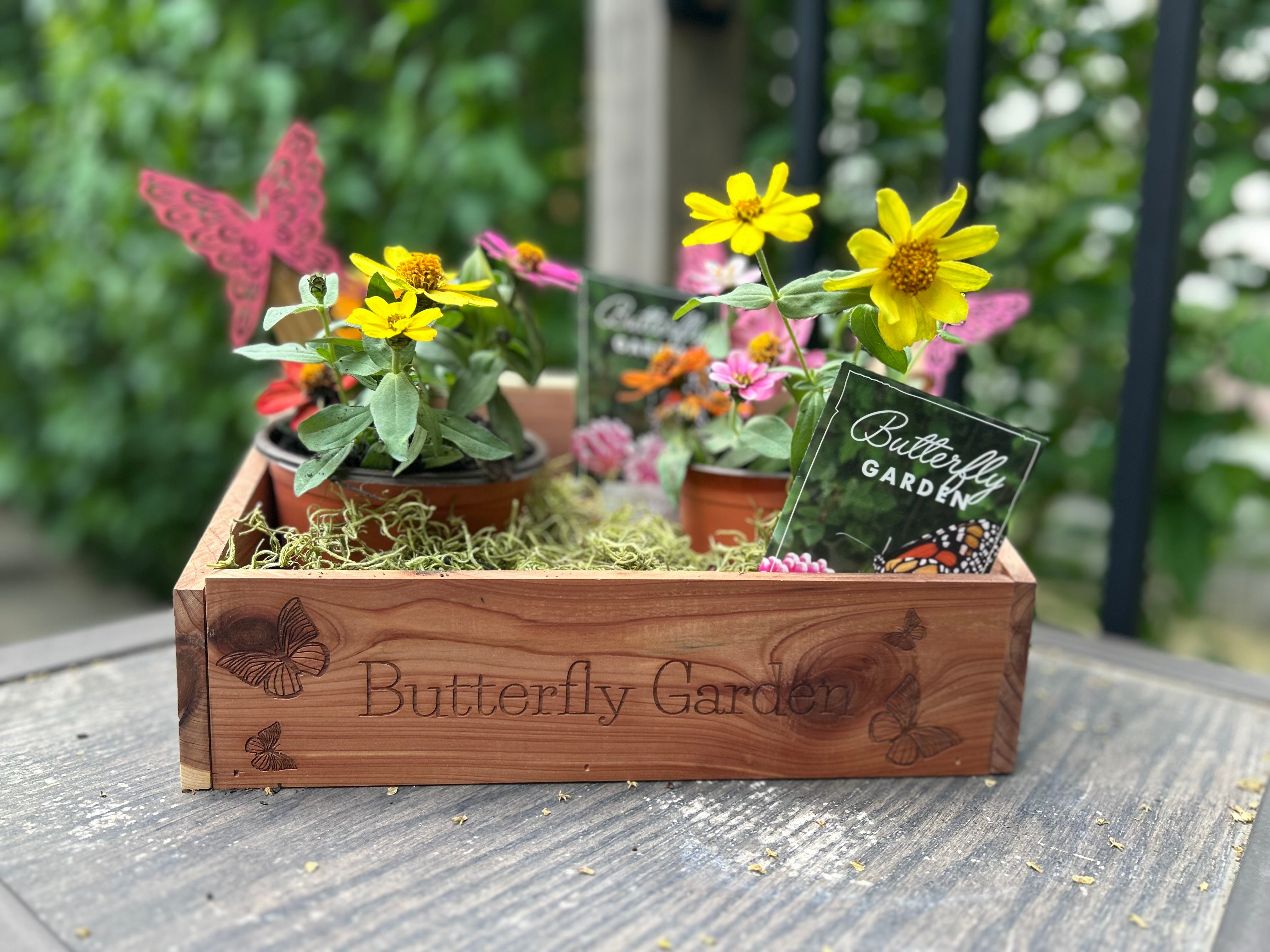Handcrafted Eastern Red Cedar Butterfly Garden with engraved butterfly designs, displayed on a sunny patio with Monarch Wildflower Seed Mix packet.