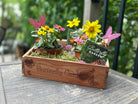 Handcrafted Eastern Red Cedar Butterfly Garden with engraved butterfly designs, displayed on a sunny patio with Monarch Wildflower Seed Mix packet.